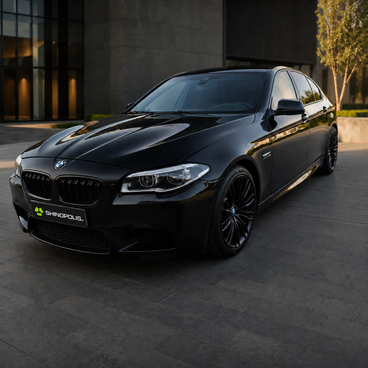 BMW 5 series 2012